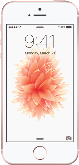 iPhone SE (1st generation) The iPhone Wiki