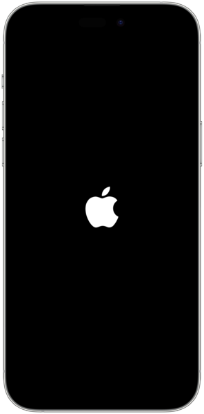 File:Iphone14promaxinapplelogo.png