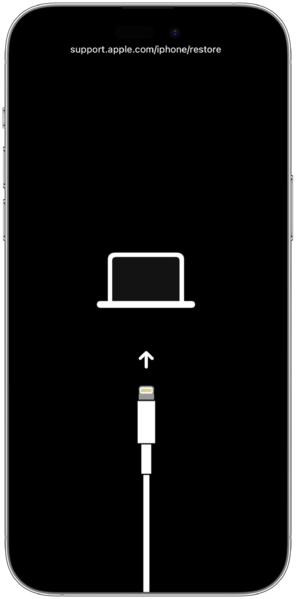 File:Iphone14promaxinrecm.png